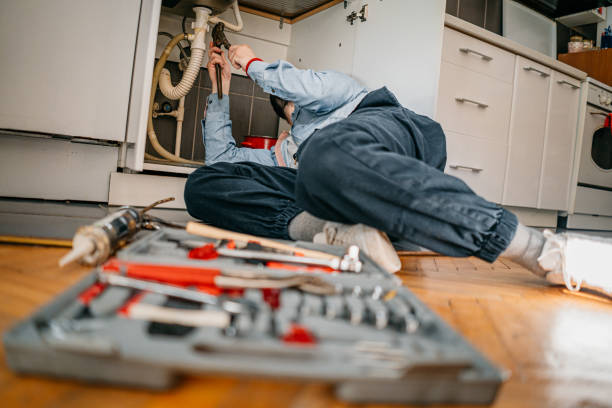 Best Clogged Drain Plumber  in Madison, WI